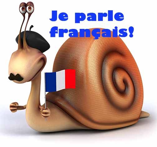 FRENCH (signs, holidays, tasks)